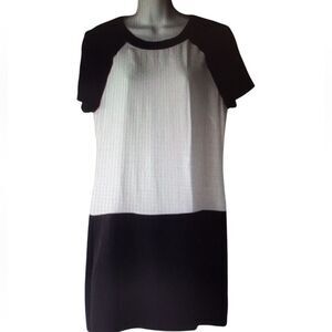 Banana Republic Black and White Silk Mini Dress